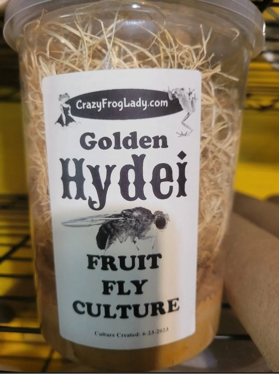 Variety Pack Live Fruit Fly Cultures – Turkish Gliders, Golden, Hydei (4-Pack)-519488