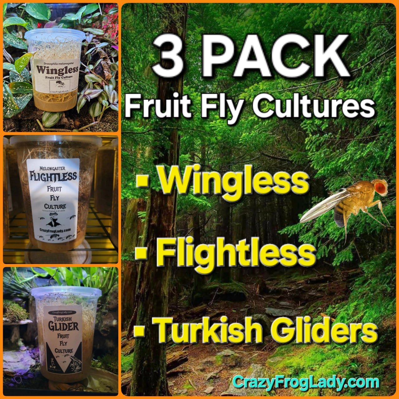 Fruit Fly Variety Packs | CRAZY FROG LADY L.L.C.