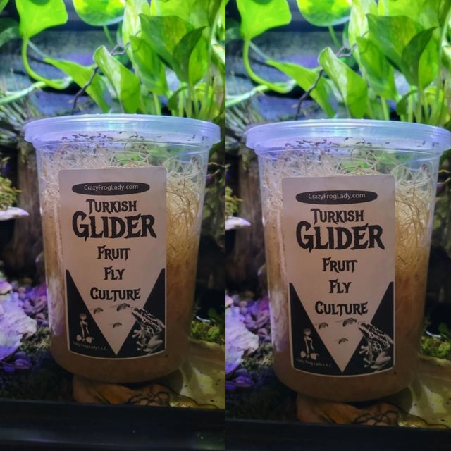 Fruit Fly Variety Packs | CRAZY FROG LADY L.L.C.